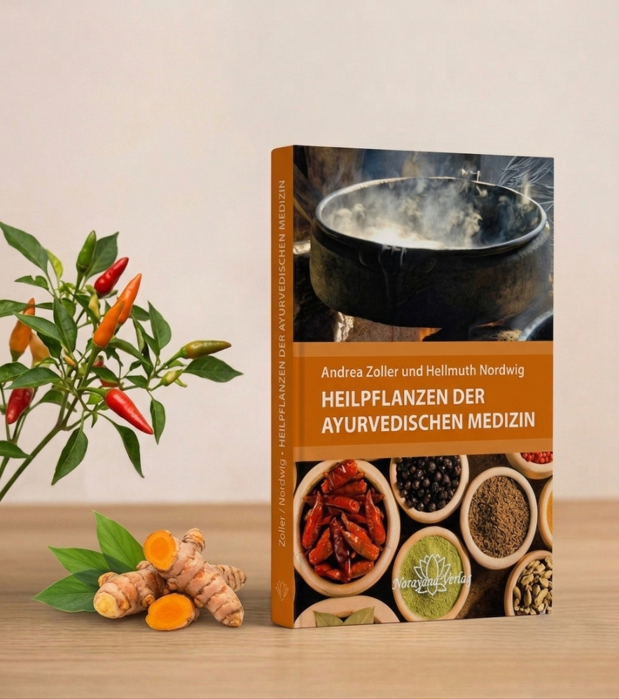 Das Cover des Buches „Heilpflanzen der ayurvedischen Medizin“ zeigt oben einen dampfenden Kessel über einer Feuerstelle und unten verschiedene Schalen mit Gewürzen und Kräutern.